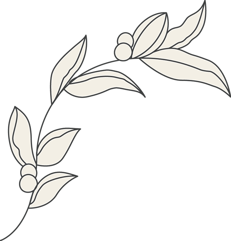 beauty esthetician 42