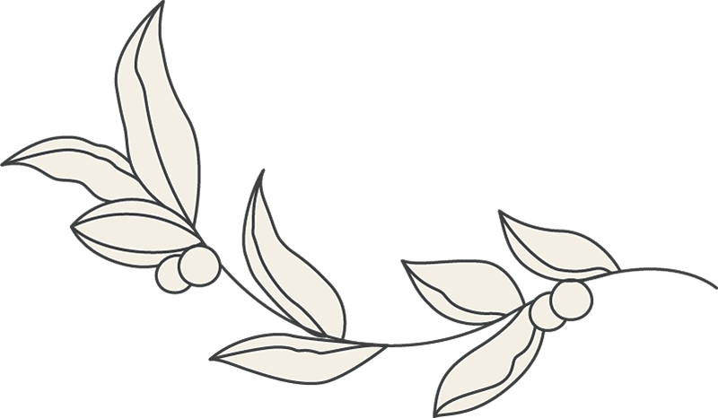 beauty esthetician 44 3